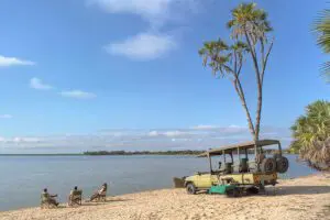 Disfrute de emocionantes safaris con paradas panorámicas por el camino.