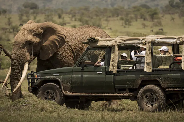 serian-ngare-activities_game_drive_animals_8