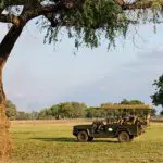 Recorridos de caza en Luangwa Sur. 