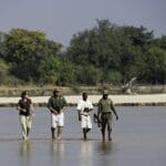 Safaris a pie en Luangwa Sur | Kapamba Camp