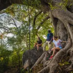 Nature trails on the island.