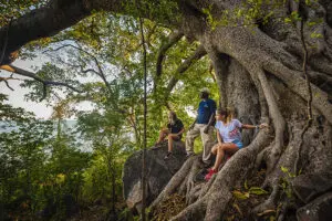Nature trails on the island.