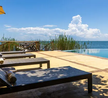 Lounge poolside with a drink and good book, or perhaps your binoculars to spot birds.
