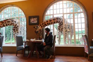girafa-manor_2-3