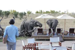hwange_1