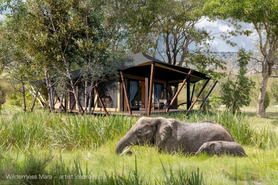 A render showing 2 elephants walking past one of the suites at the new Wilderness Mara opening in 2026 | Go2Africa