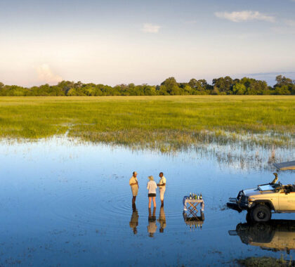 Safari dreamscape: Exploring the untamed beauty of the African landscape.