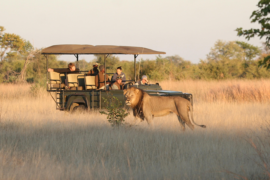Camp Hwange en el Parque Nacional de Hwange, Zimbabue | Go2Africa