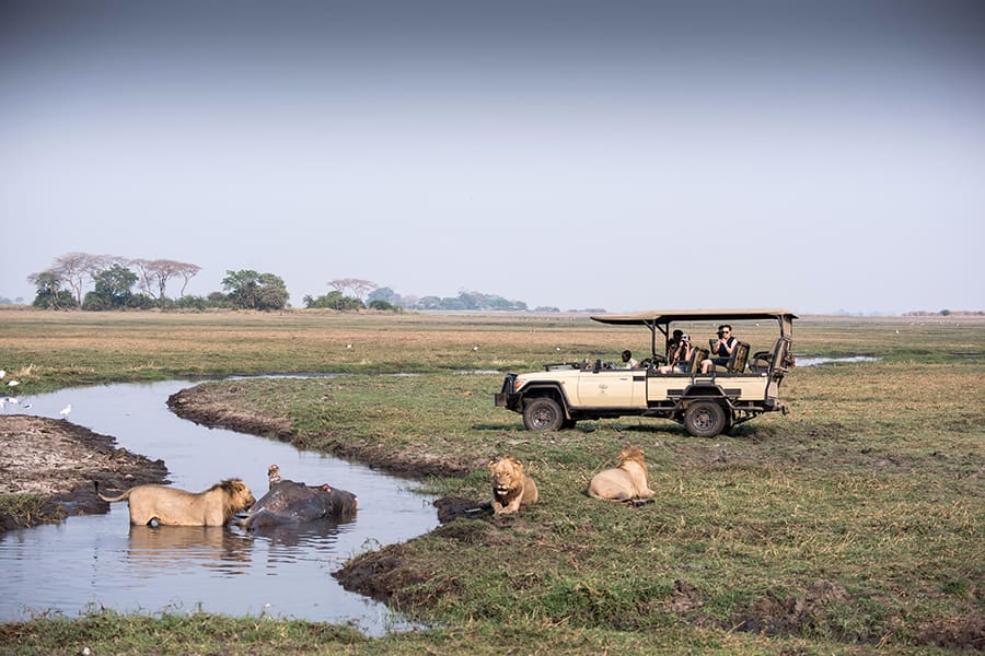 chisa-busanga-camp-zambia-game-drives-in-the-evehicle