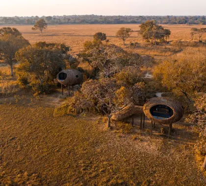 chisa-busanga-camp-zambia-the-camp