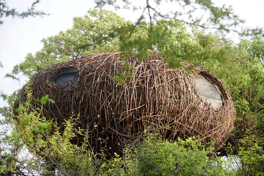 chisa-busanga-camp-zambia-nest-exterior-windows