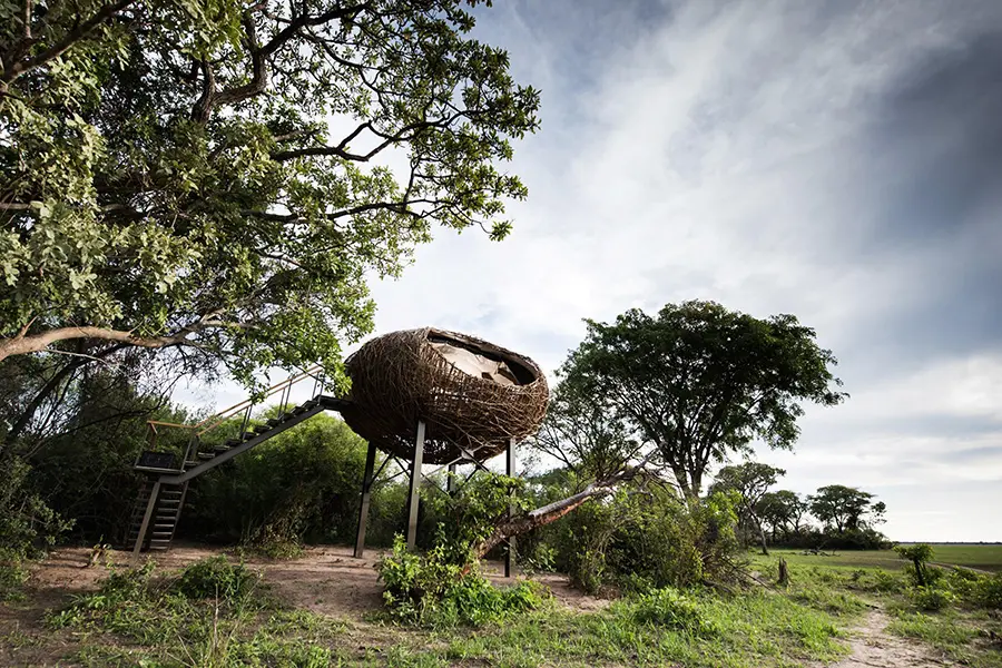 chisa-busanga-camp-zambia-nest-exterior