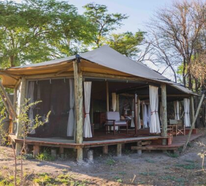 A modern tented suite at Musekese Camp in Kafue National Park | Go2Africa