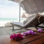 Felicidad a la sombra con unas vistas preciosas.