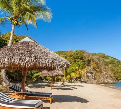 Sun loungers and palapas.