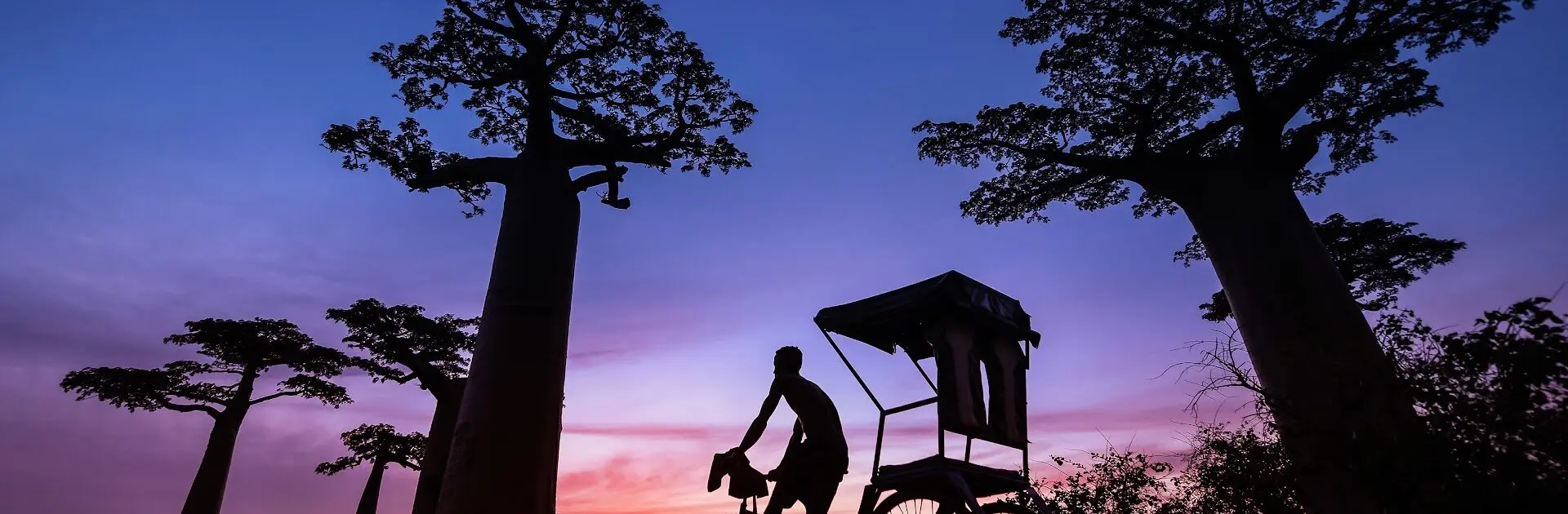 Man on bicycle with cart behind him with Madagascan baobabs and a sunset in the background | Go2Africa