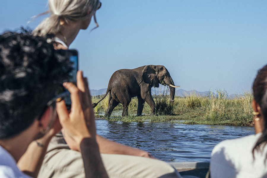 Boat cruise on the Zambezi River | Anabezi Luxury Tented Camp | Go2Africa