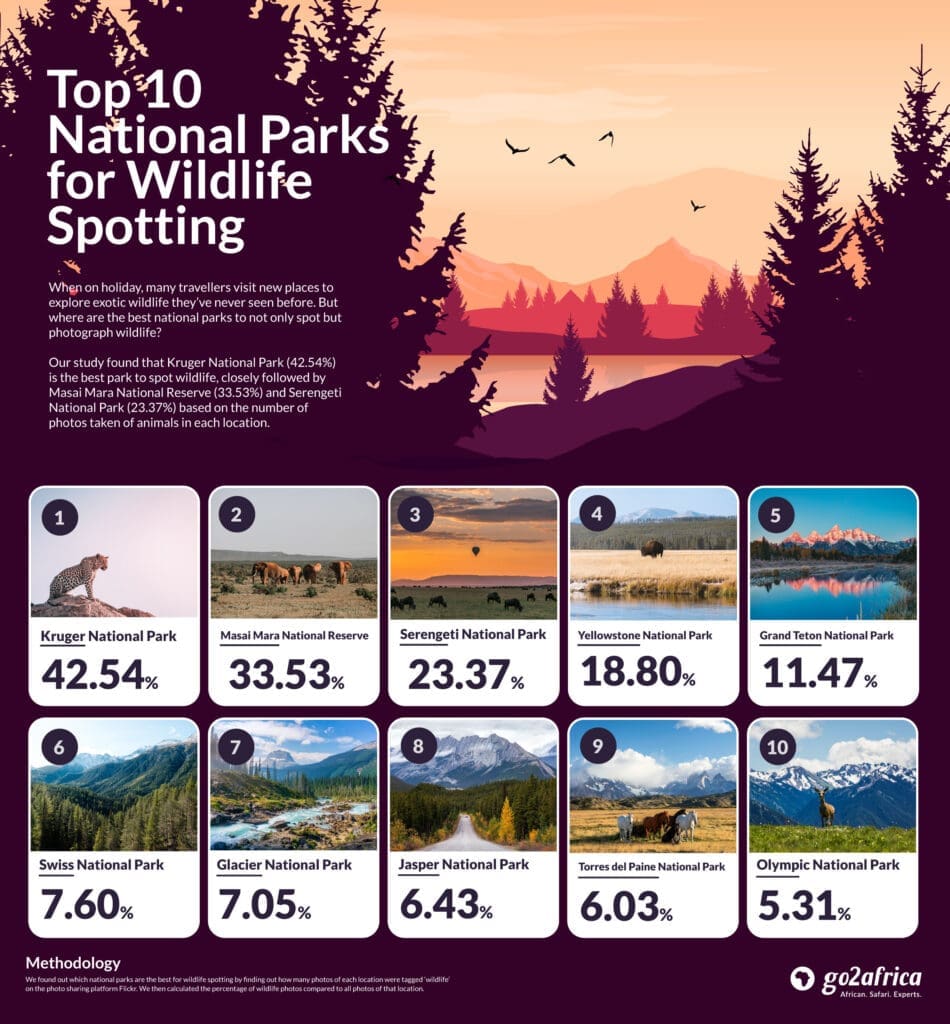 Los 10 mejores parques nacionales para avistar fauna salvaje