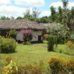 Un paseo por los jardines.