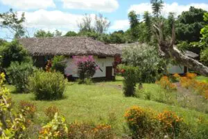 A walk in the gardens.