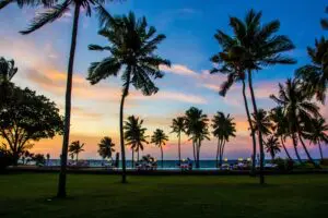 Vistas del atardecer para tomar una copa y cenar.