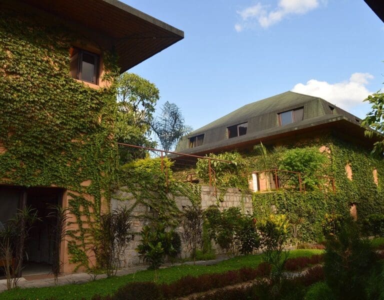 Exteriores Ivy | Hotel Thermal Ranomafana