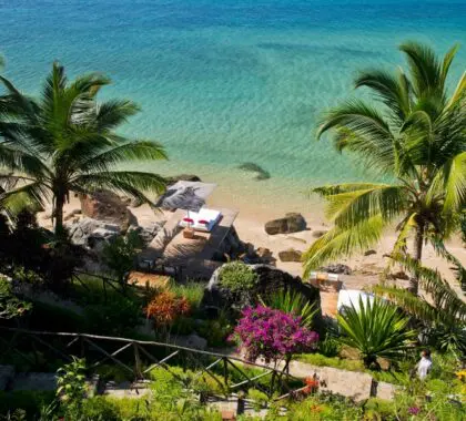 A bird's eye view of the beach.