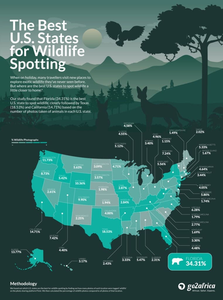 Los mejores estados de EE.UU. para avistar fauna salvaje