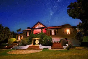 Exterior of the Litchi Tree. 