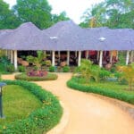 Surrounded by greenery. 