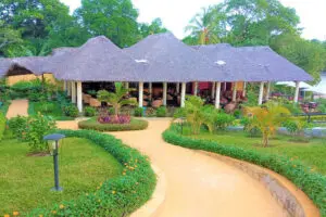 Surrounded by greenery. 