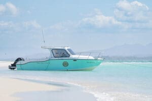 Boat cruises on azure waters. 