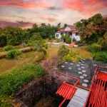 Surround yourself with nature. 