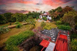 Surround yourself with nature. 