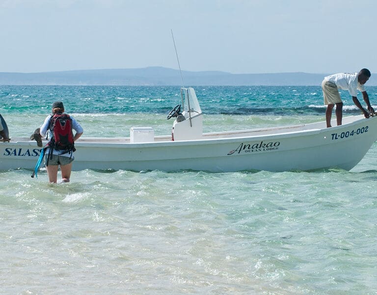 Excursiones en barco. 