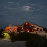 Starry nights. 