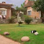 Residentes del jardín.