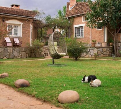 Two rabbits on grass by a pathway and demarcation stones with Hotel Couleur Café in the background | Go2Africa