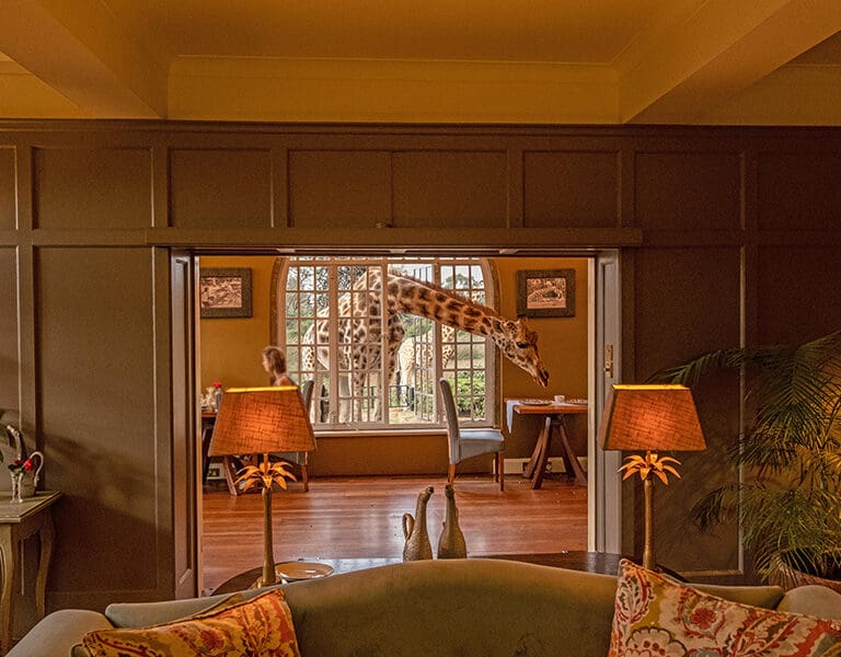 Breakfast with giraffes | Giraffe Manor, Kenya