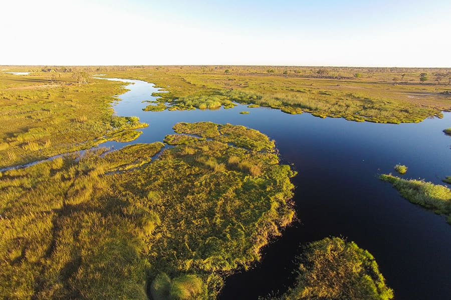 Moremi crossing