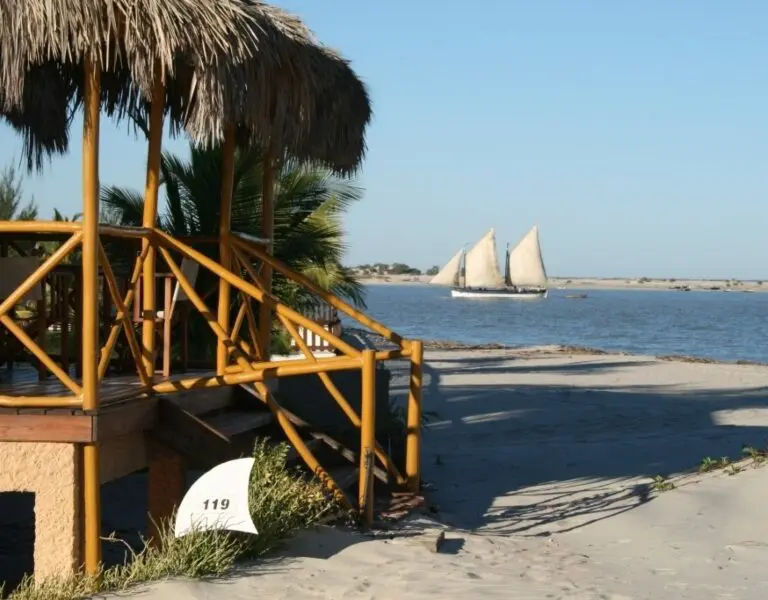 palissandre-cote-ouest-13