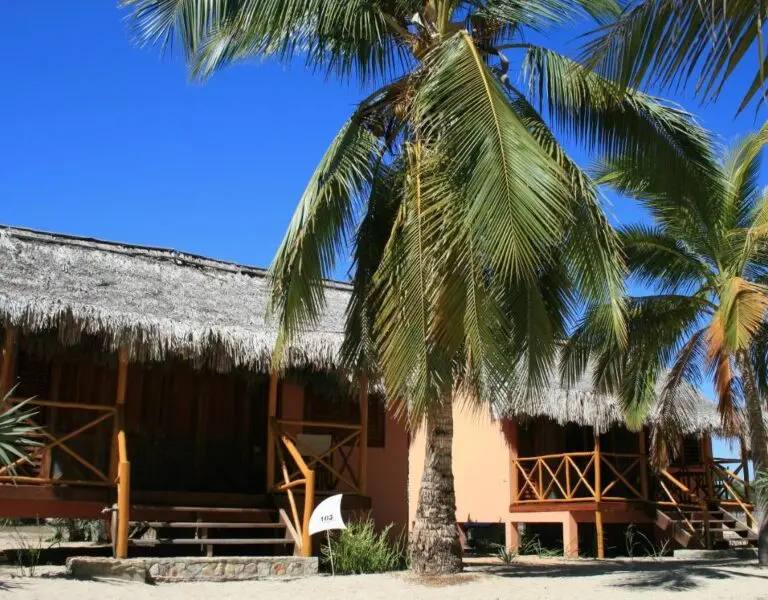 palissandre-cote-ouest-5