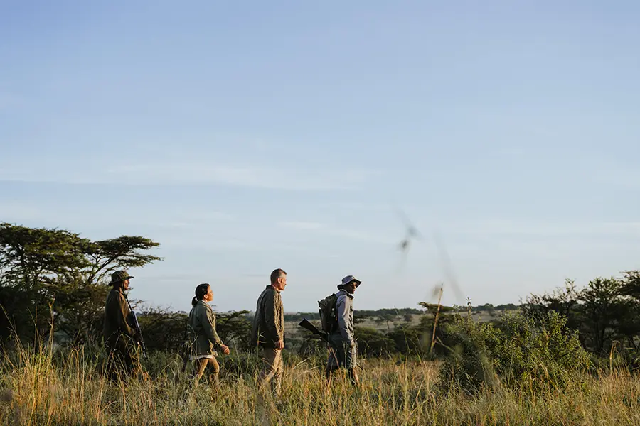 A group of four people walking from left to right traverse through the African bush on a guided walking safari | Go2Africa