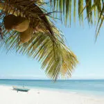 Swim, catch some rays and enjoy balmy weather, beachside.