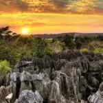 Picturesque scenery of Tsingy de Bemaraha National Park.
