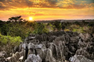 Picturesque scenery of Tsingy de Bemaraha National Park.