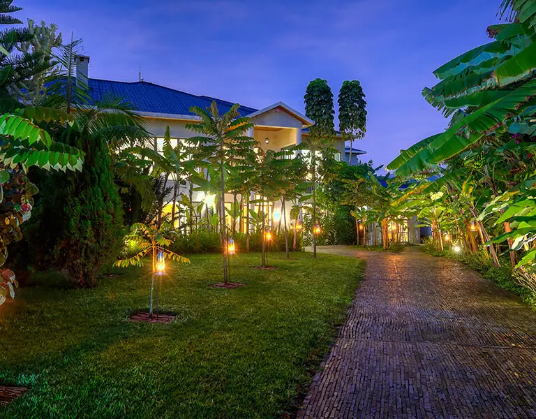 The romantically-lit garden pathway leadin you to The Bishop's House