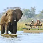 A los elefantes les encanta el agua, siempre es un placer verlos. 