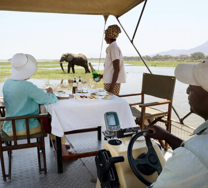 Boat-based safaris are the best way to experience the Zambezi. 