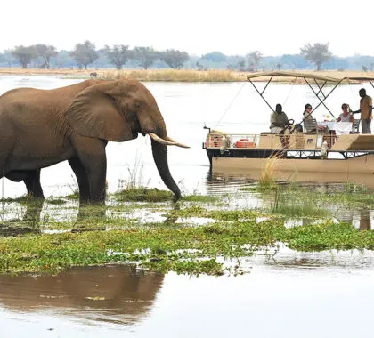 Enjoy a 'floating lunch' at Chiawa Camp.  